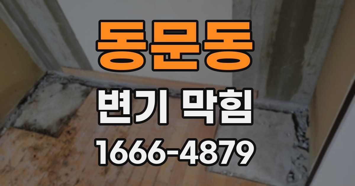 동문동 변기 막힘