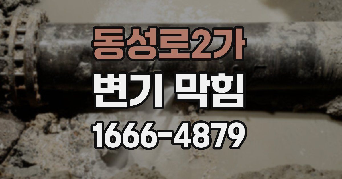 동성로2가 변기 막힘