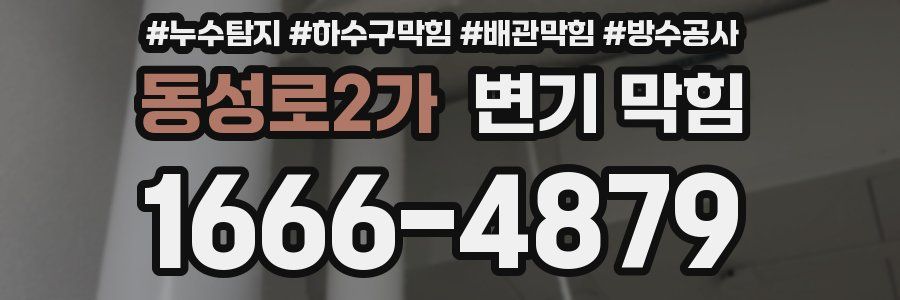 동성로2가 변기 막힘