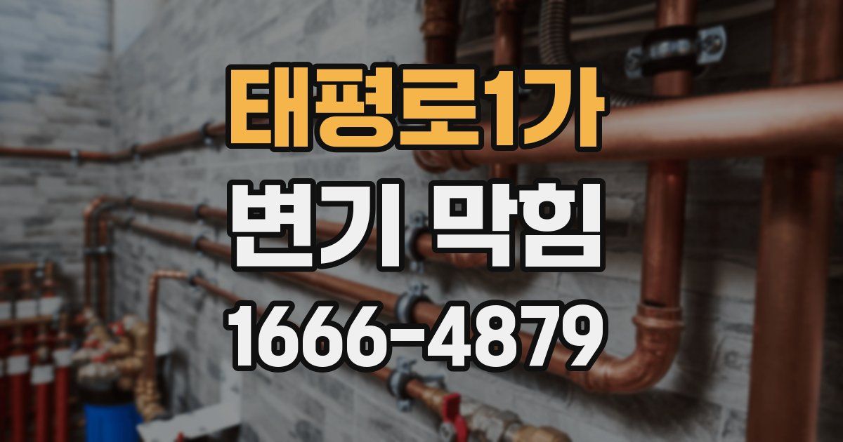 태평로1가 변기 막힘