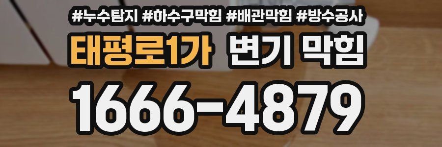 태평로1가 변기 막힘