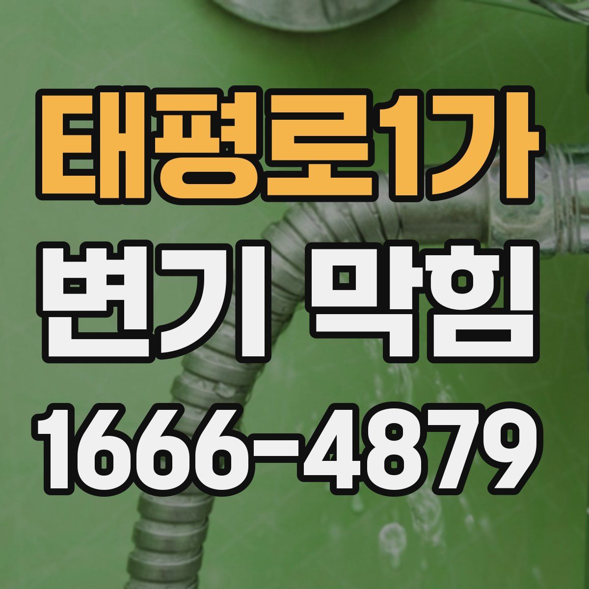 태평로1가 변기 막힘