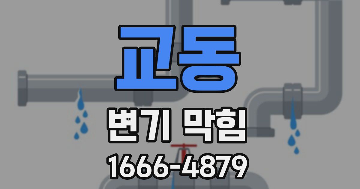 교동 변기 막힘