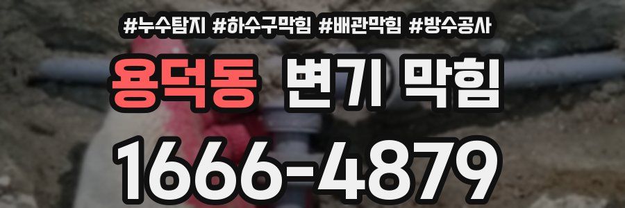 용덕동 변기 막힘