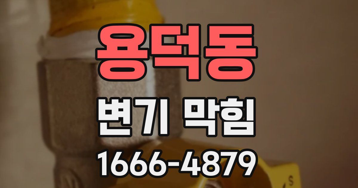 용덕동 변기 막힘