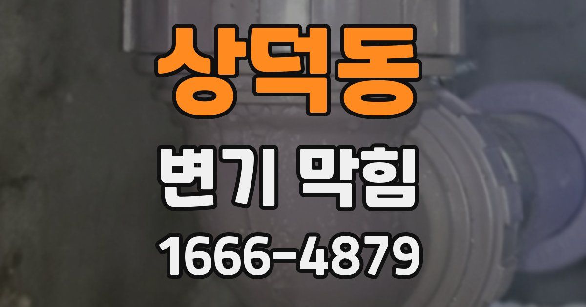 상덕동 변기 막힘