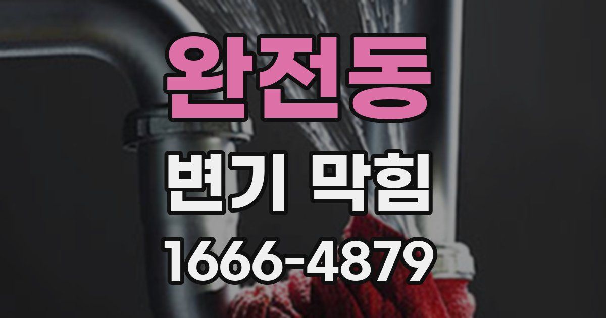 완전동 변기 막힘