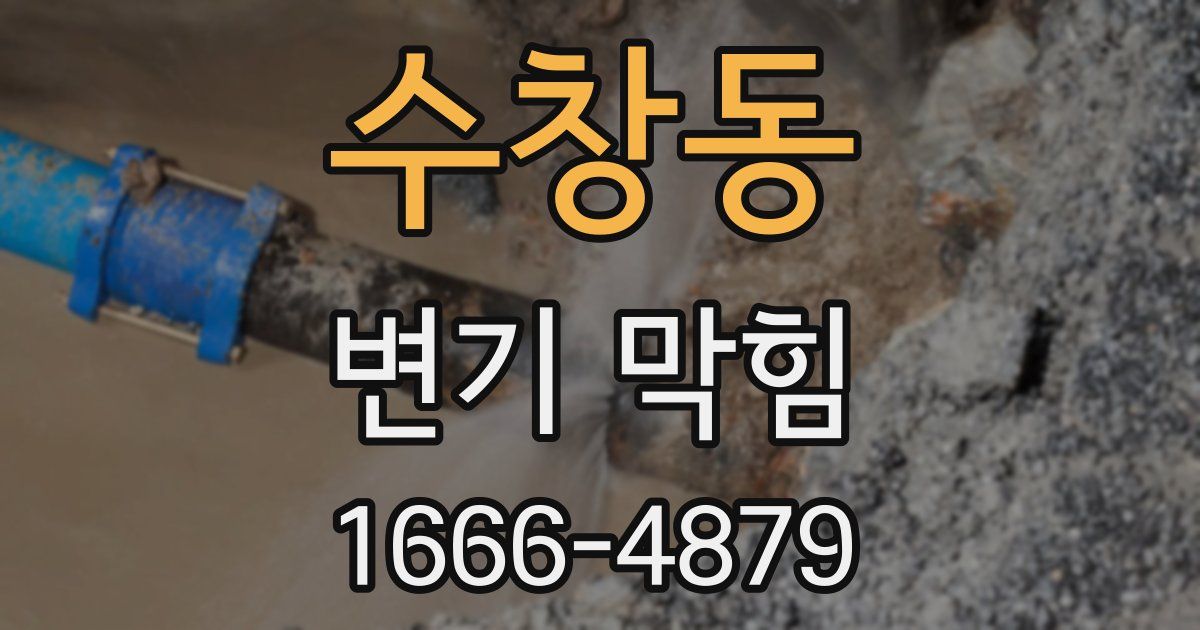 수창동 변기 막힘