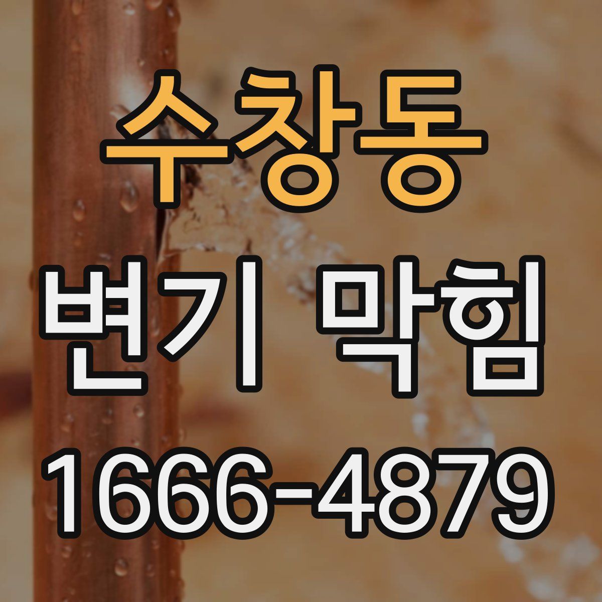 수창동 변기 막힘