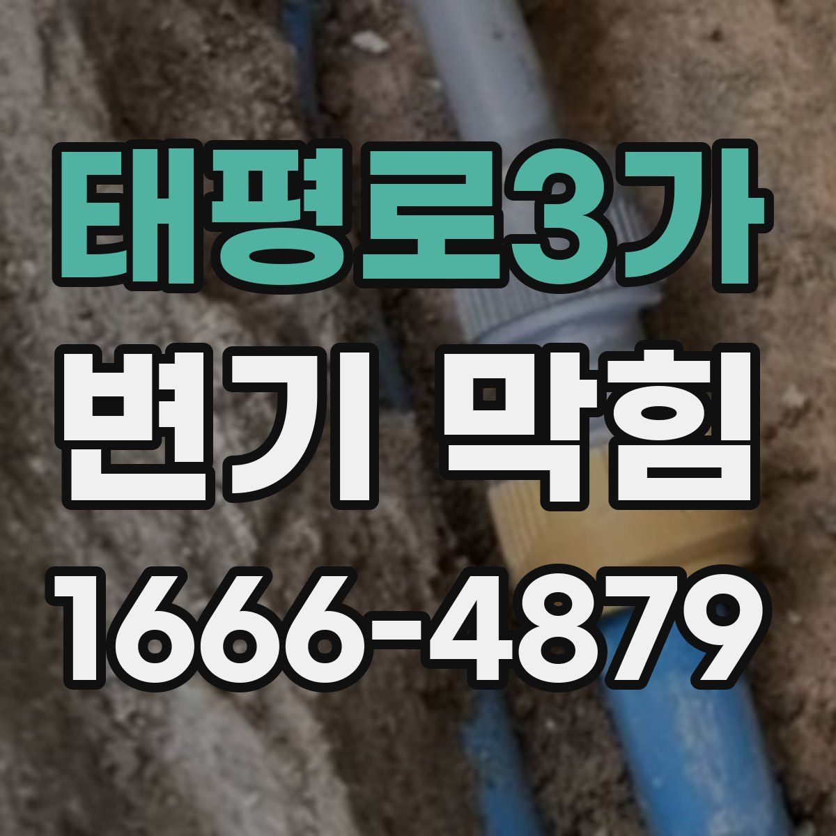 태평로3가 변기 막힘