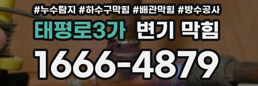 태평로3가 변기 막힘