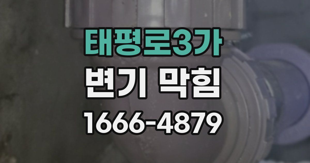 태평로3가 변기 막힘