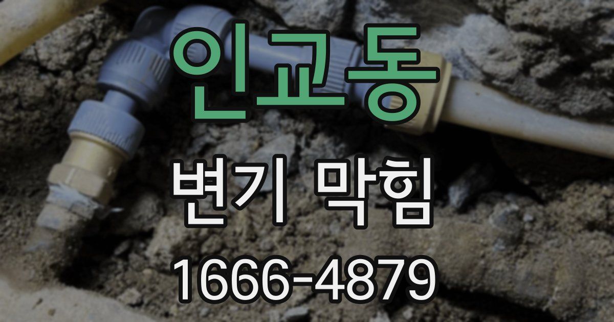 인교동 변기 막힘