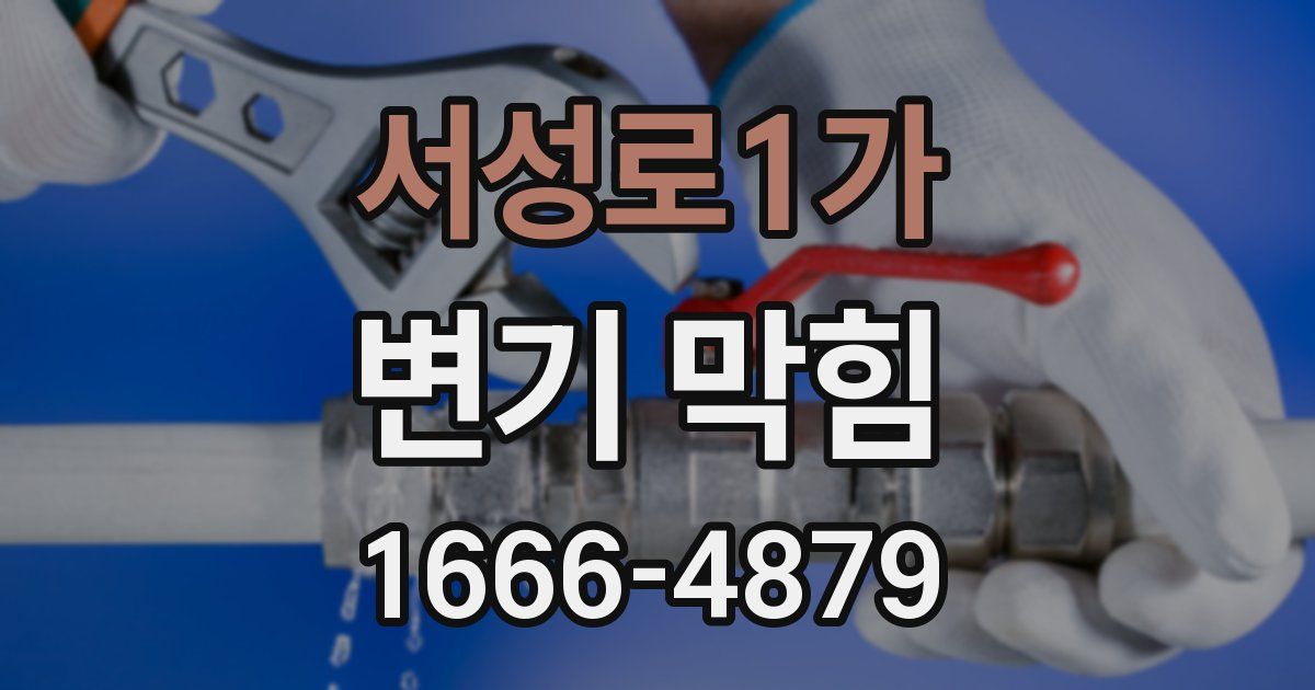 서성로1가 변기 막힘