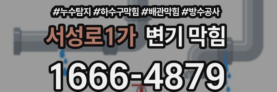 서성로1가 변기 막힘