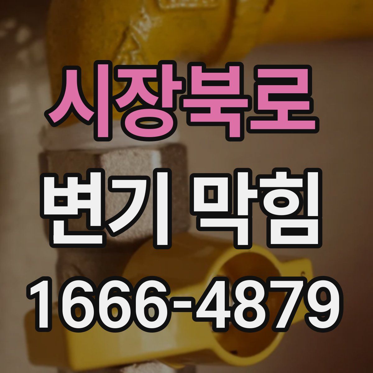 시장북로 변기 막힘