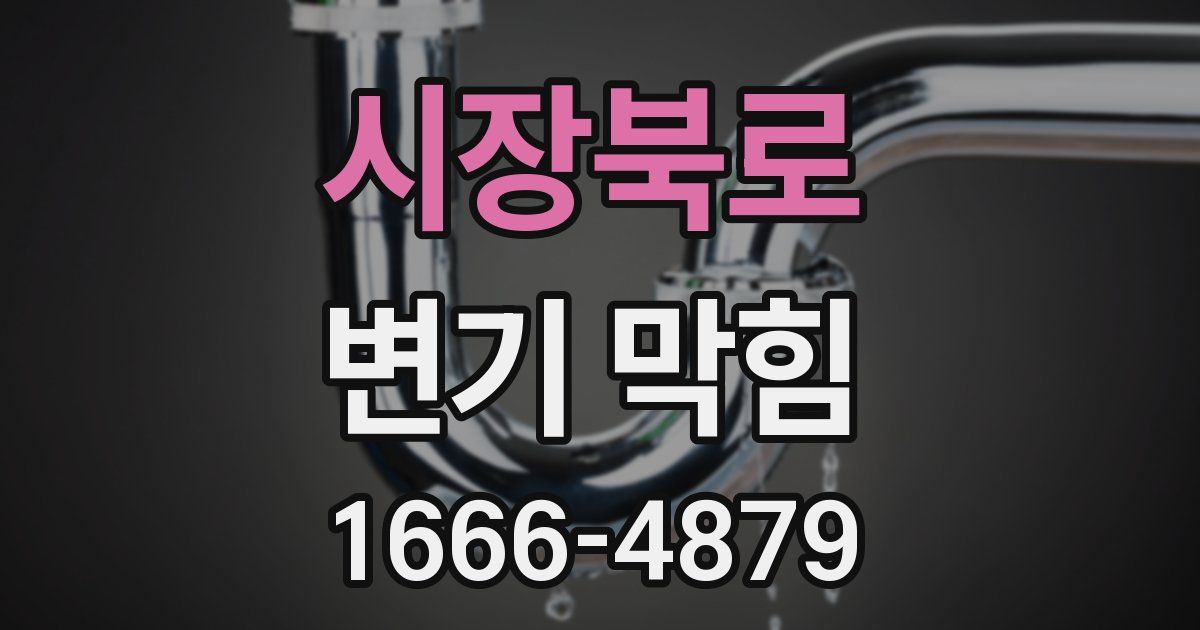 시장북로 변기 막힘