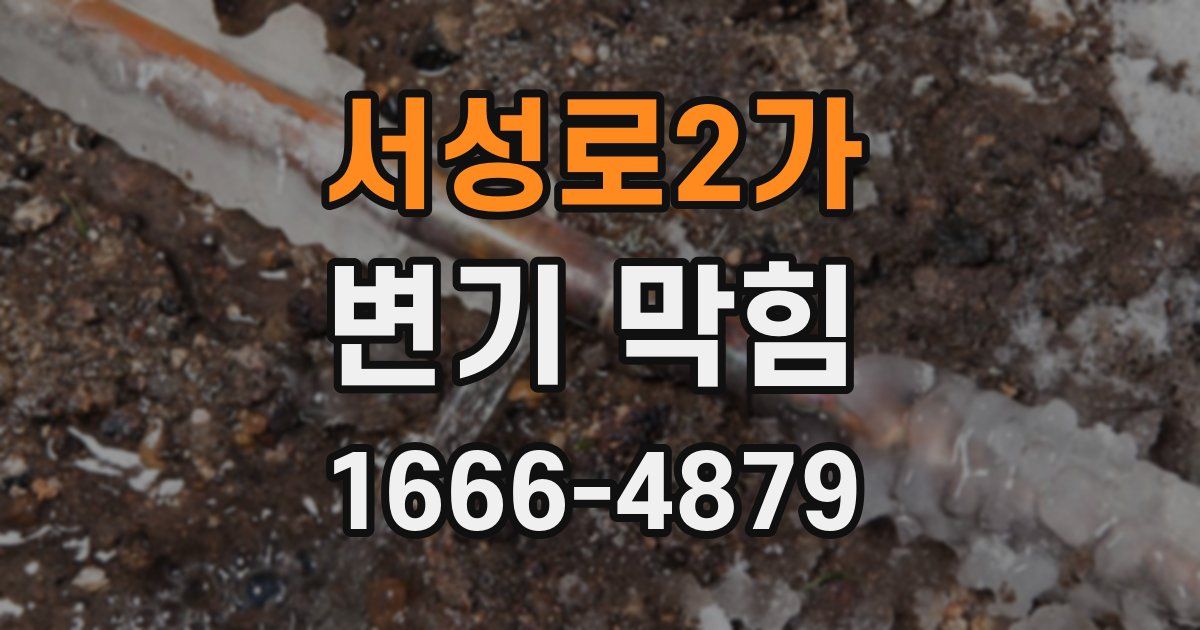 서성로2가 변기 막힘