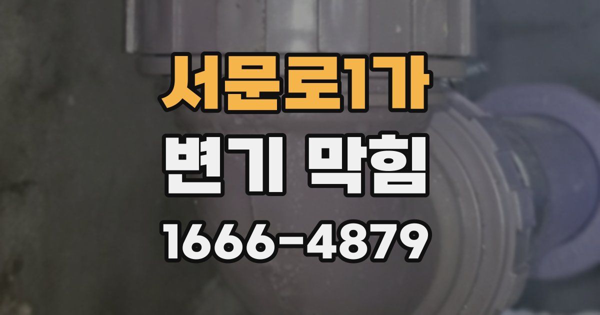 서문로1가 변기 막힘