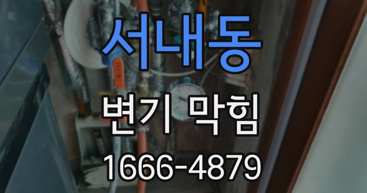 서내동 변기 막힘