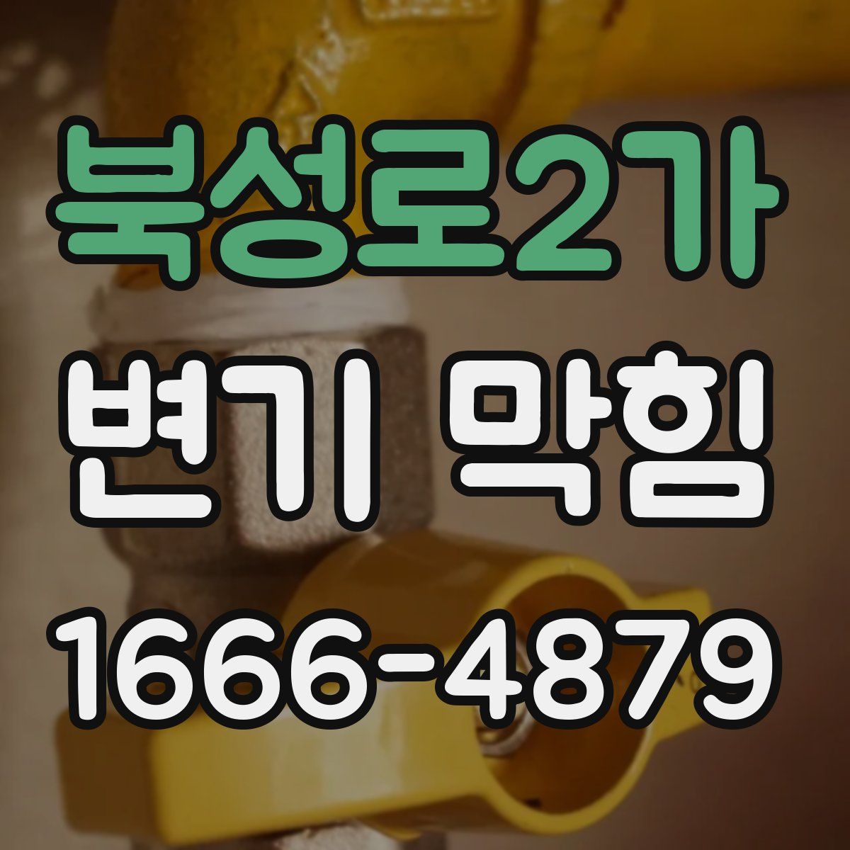 북성로2가 변기 막힘
