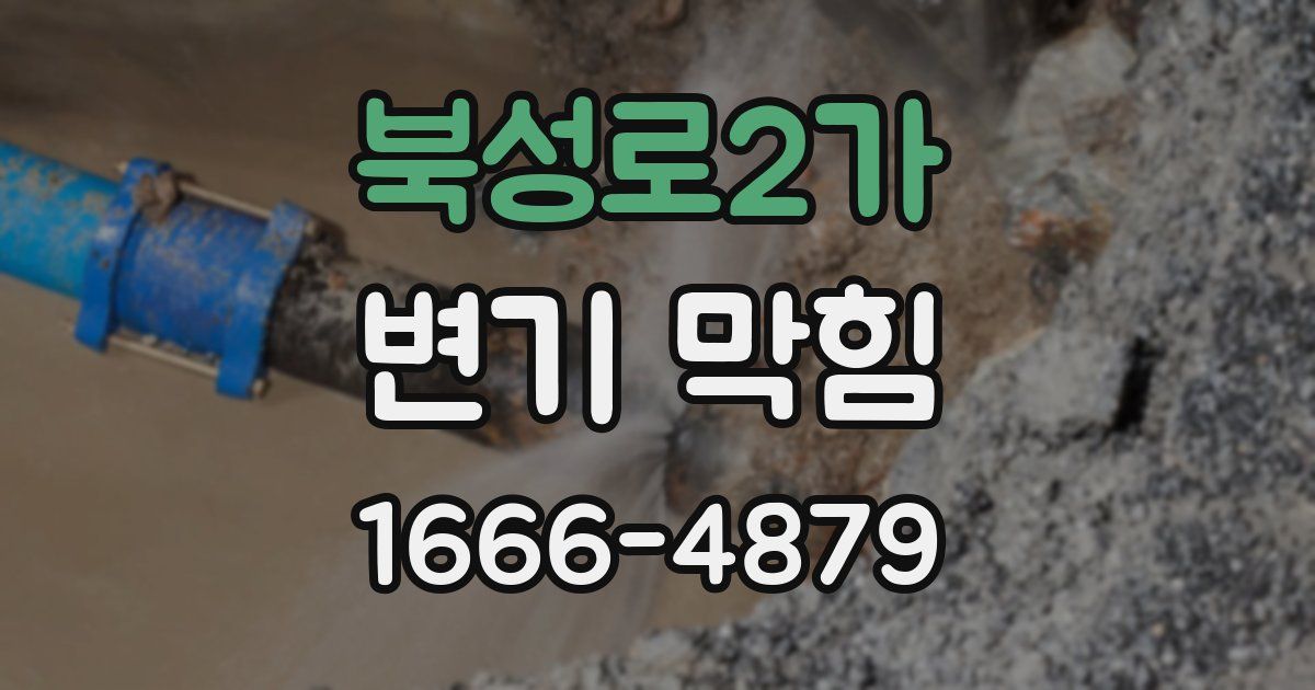 북성로2가 변기 막힘
