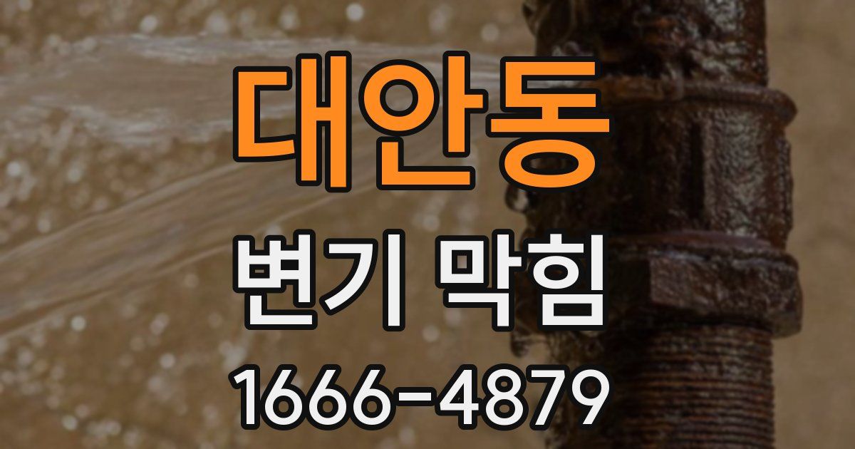 대안동 변기 막힘