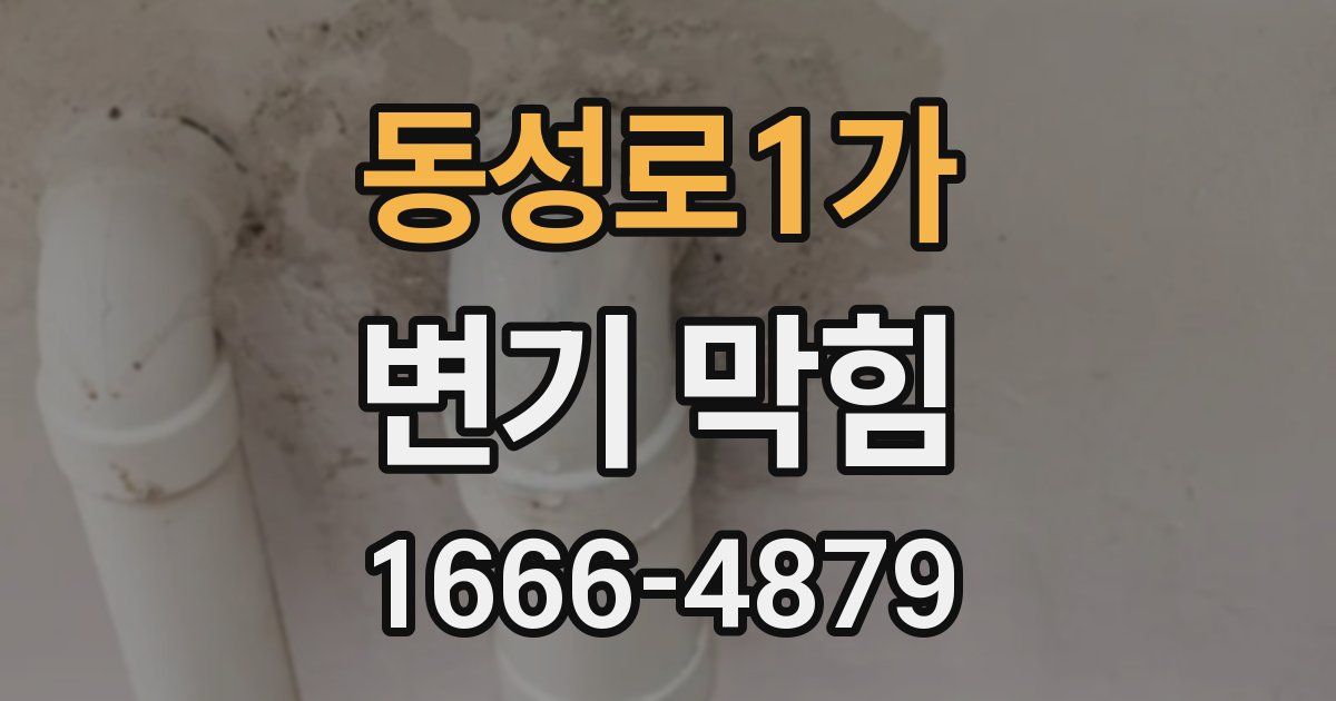 동성로1가 변기 막힘