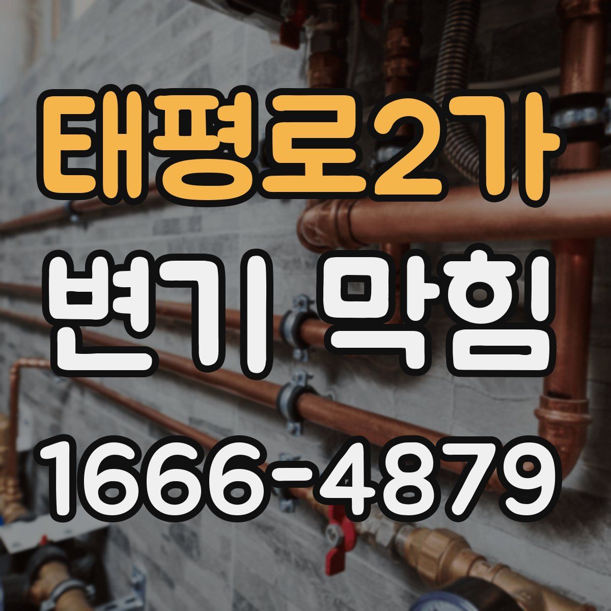 태평로2가 변기 막힘
