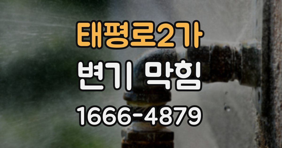 태평로2가 변기 막힘