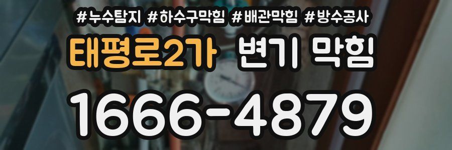 태평로2가 변기 막힘