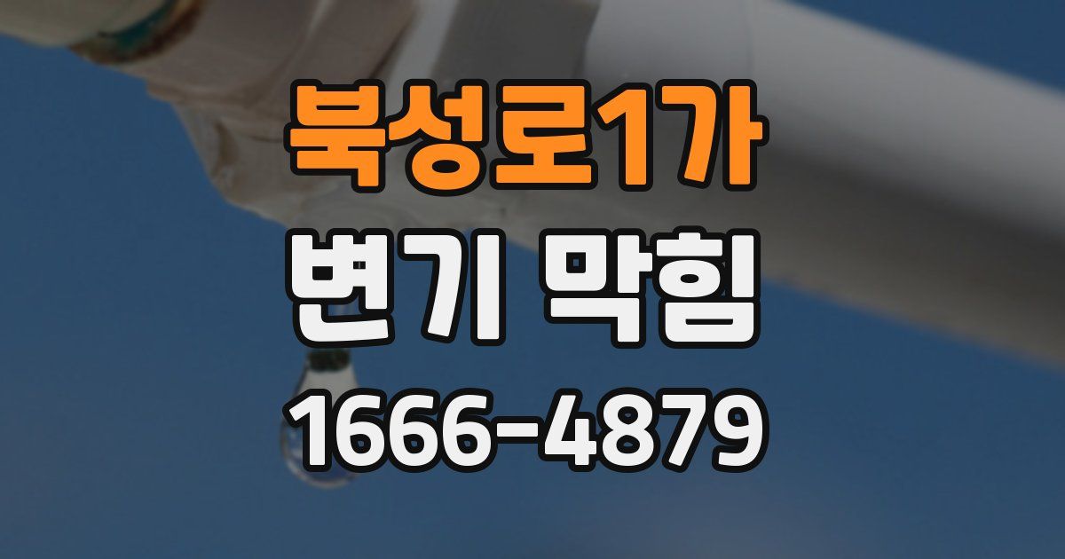 북성로1가 변기 막힘