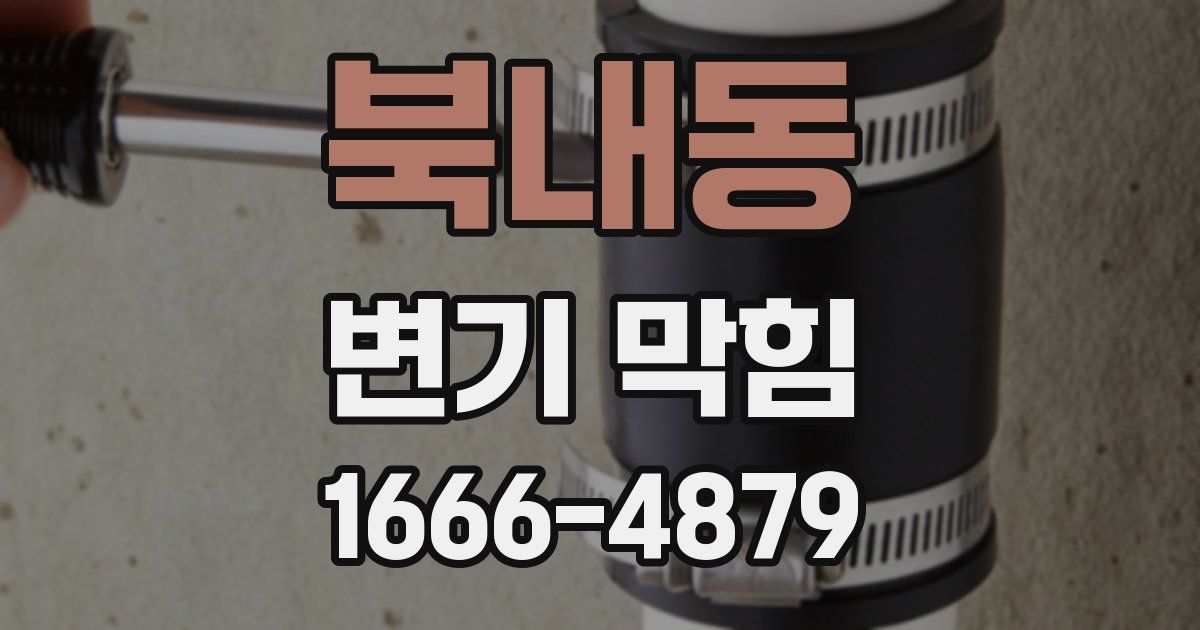 북내동 변기 막힘