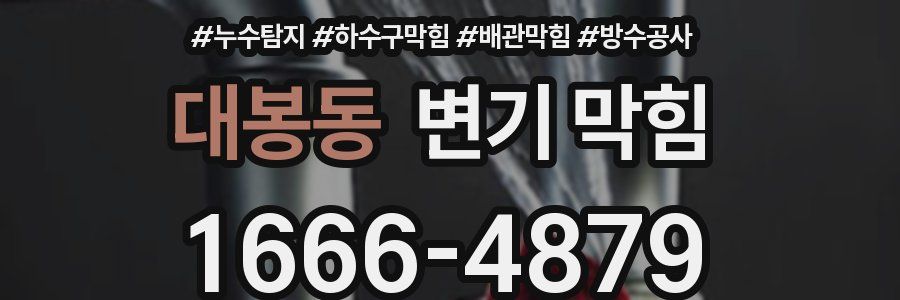 대봉동 변기 막힘