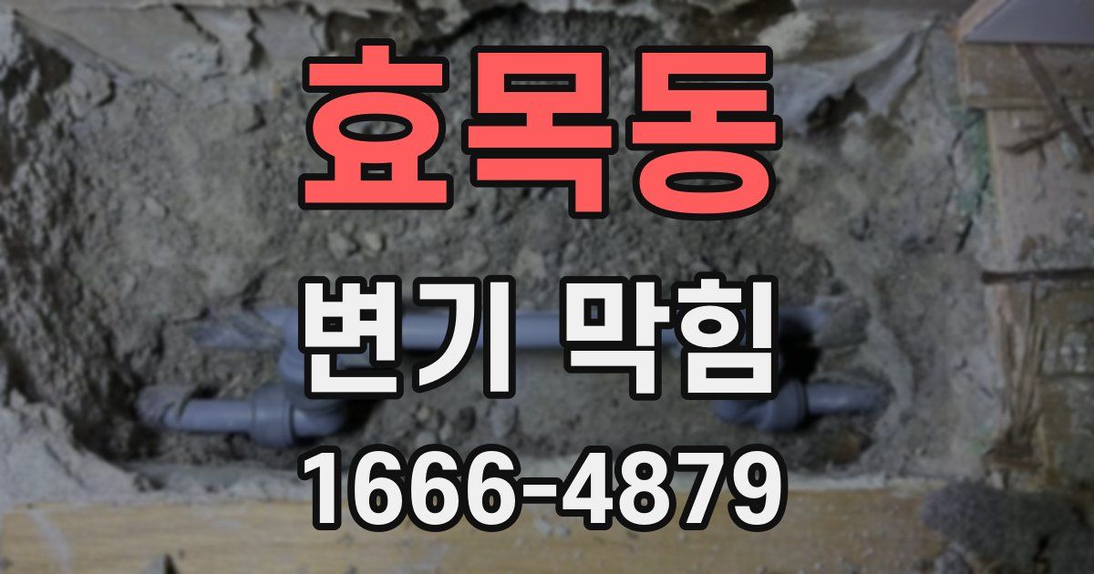 효목동 변기 막힘