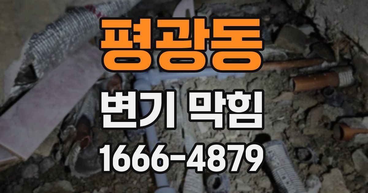 평광동 변기 막힘