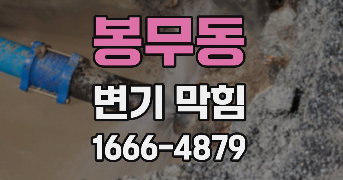 봉무동 변기 막힘
