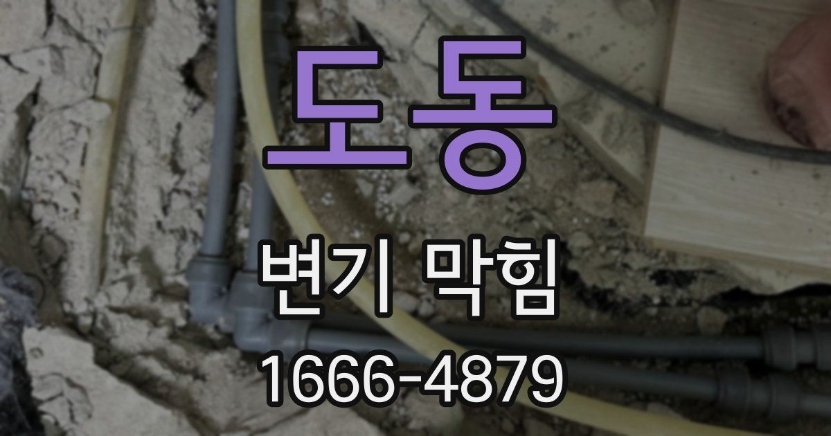 도동 변기 막힘