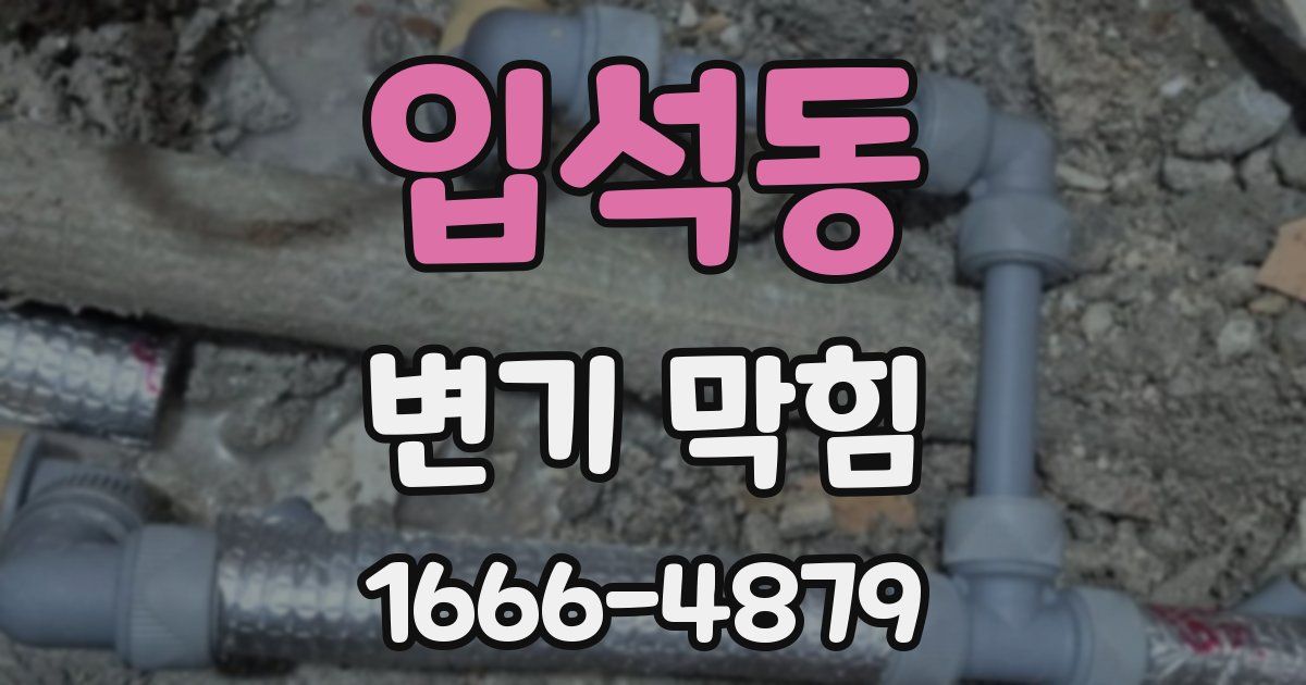 입석동 변기 막힘