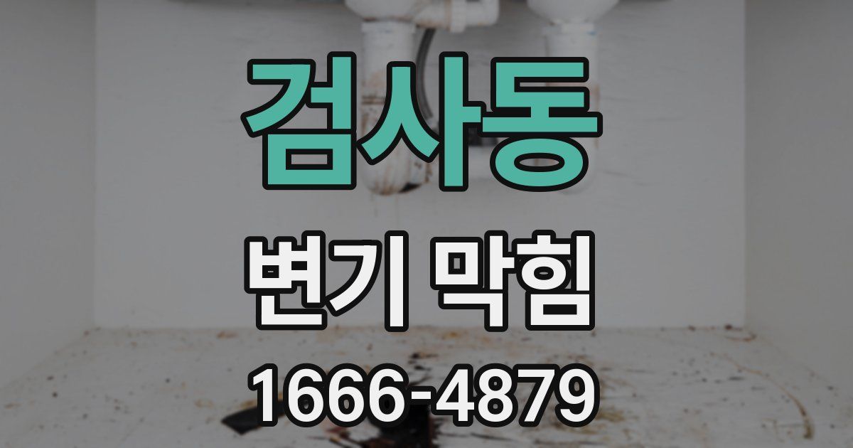 검사동 변기 막힘