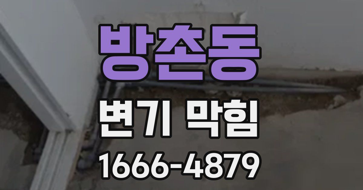 방촌동 변기 막힘