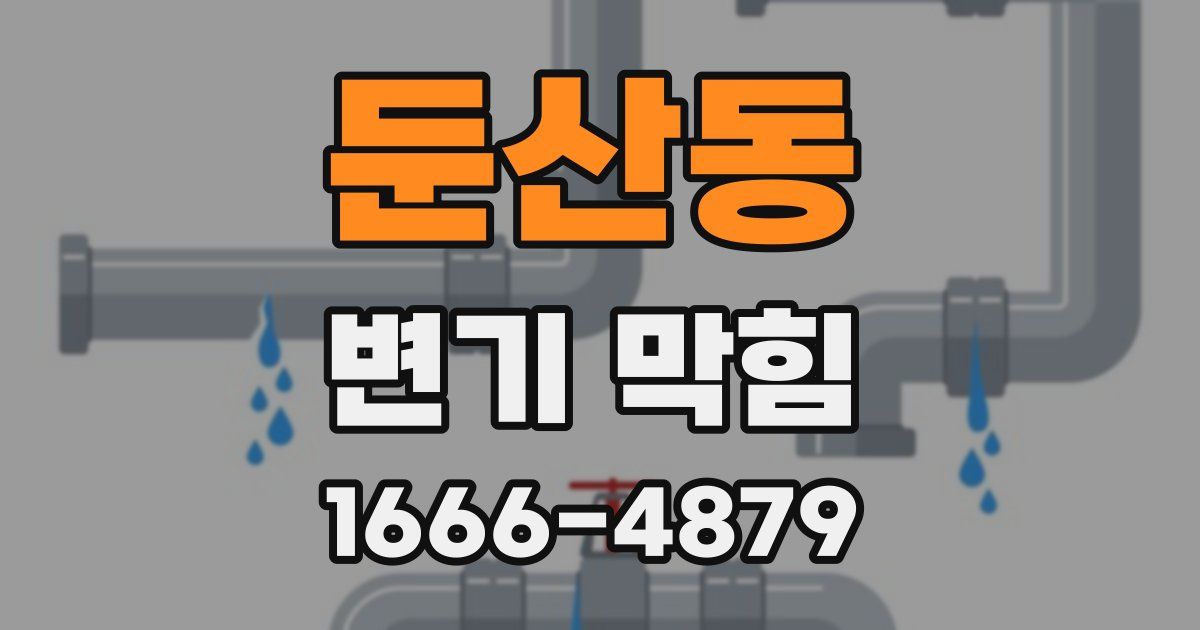 둔산동 변기 막힘