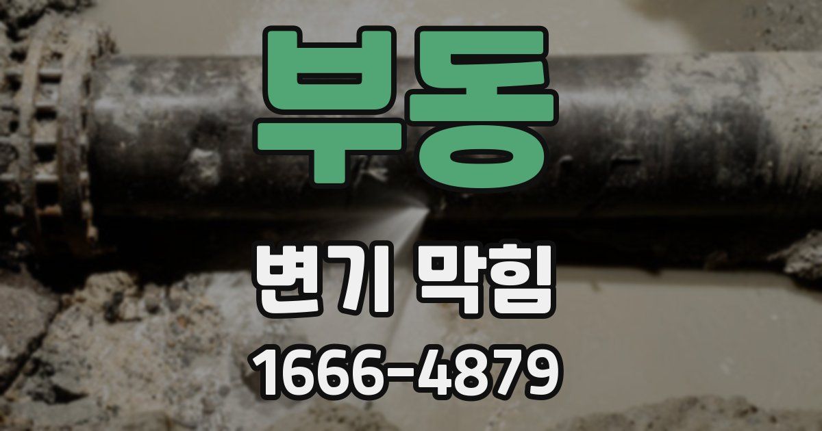 부동 변기 막힘