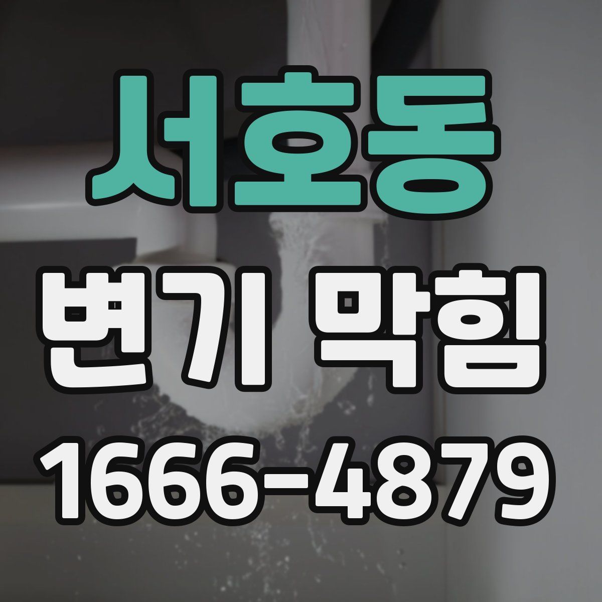 서호동 변기 막힘