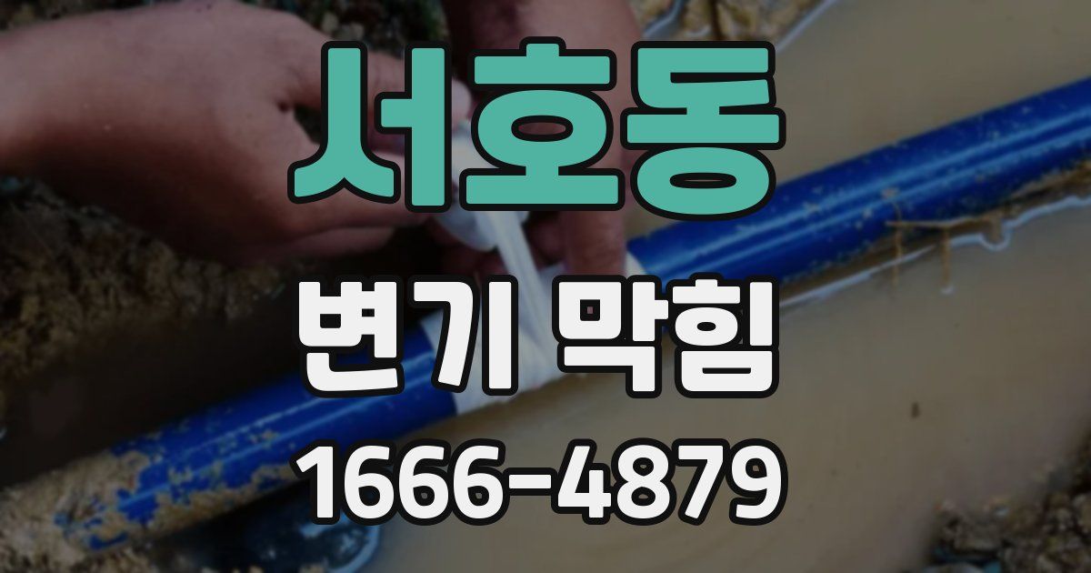 서호동 변기 막힘