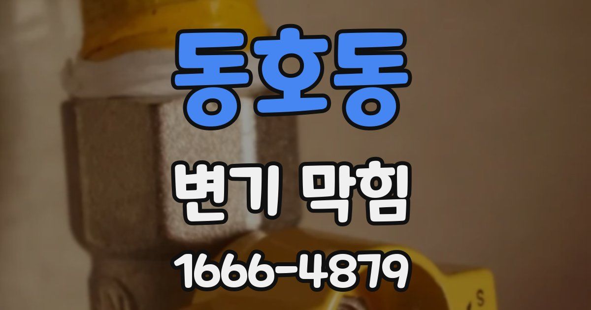 동호동 변기 막힘