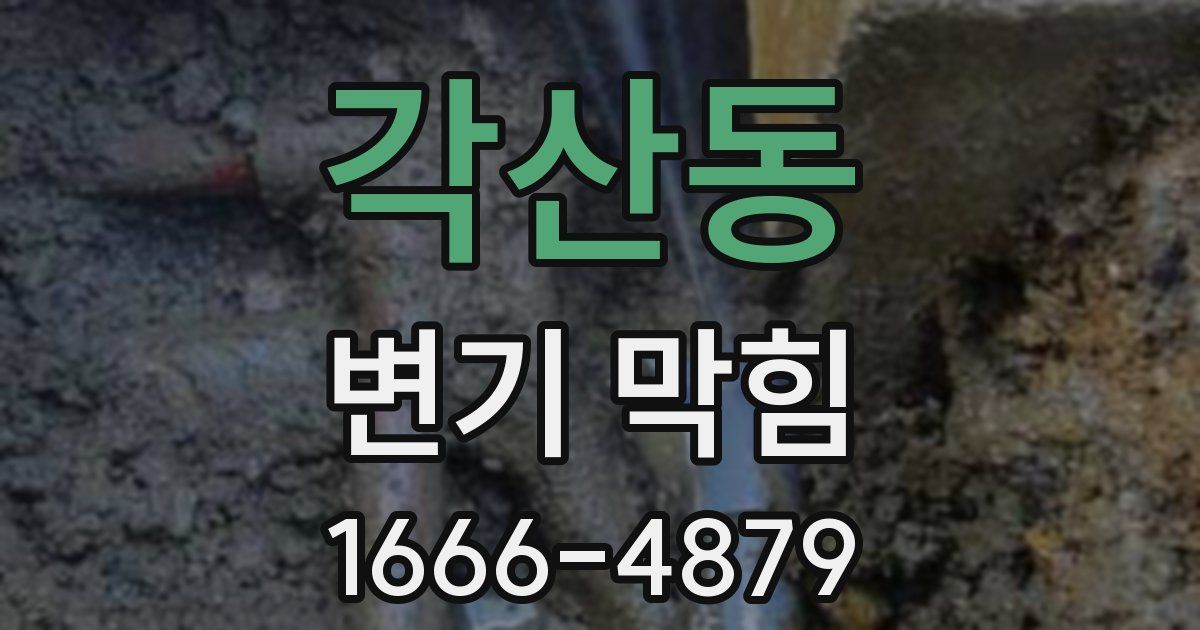 각산동 변기 막힘