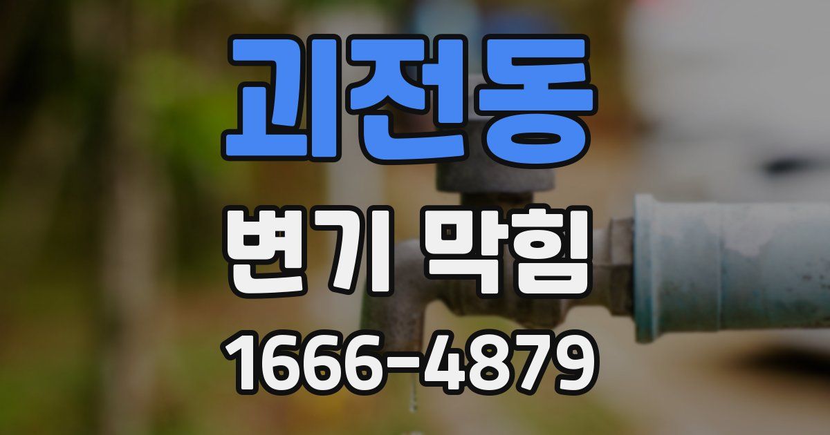 괴전동 변기 막힘