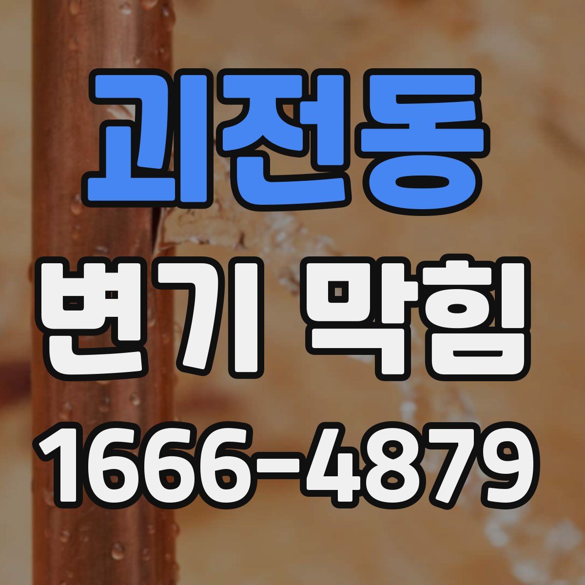 괴전동 변기 막힘