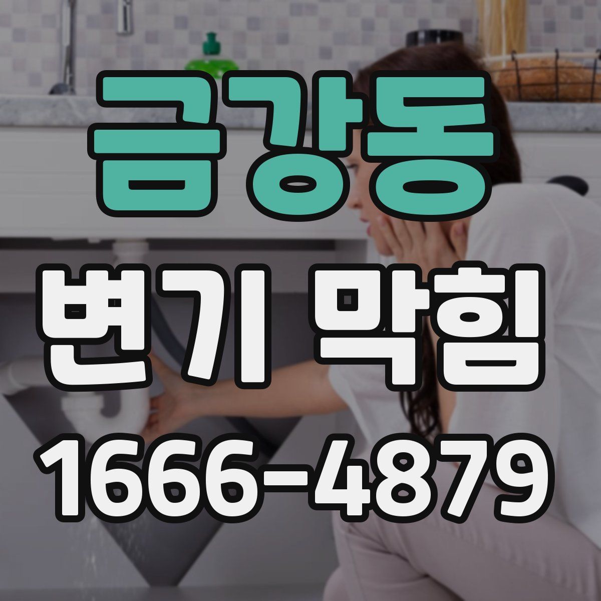 금강동 변기 막힘